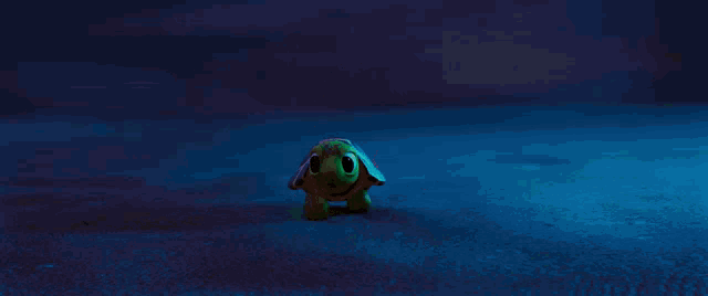 Ainbo Ainbo Turtle GIF - Ainbo Ainbo Turtle Ainbo Baby Turtle GIFs