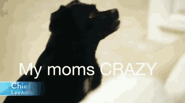 a picture of a black dog with the words " my moms crazy " on the bottom