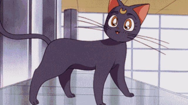 a cartoon black cat with a crescent moon on its head