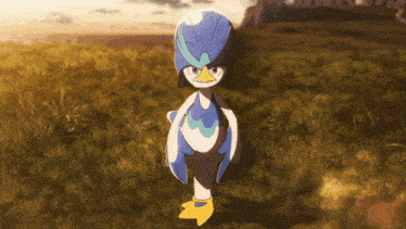 a blue and white bird with a yellow beak is standing in the grass