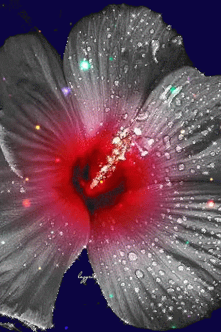 Flower Animation GIF - Flower Animation GIFs