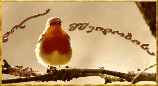 a small bird perched on a tree branch with the word domingo written on the bottom