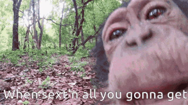 a picture of a monkey with the words when sext 'n all you gonna get written below it
