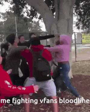 a group of people are fighting in front of a tree and the caption says me fighting vfans bloodline