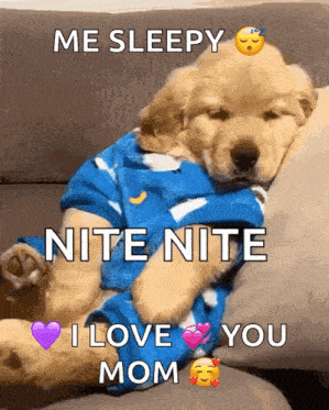 Cute Puppy GIF - Cute Puppy Goodnight GIFs