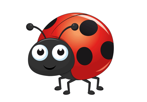 Ladybug GIF - Ladybug GIFs