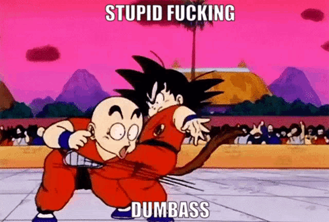 a cartoon with a caption that says stupid fucking dumbass on it