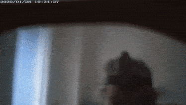 a blurred image of a person with the date 2020/01/28