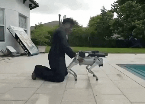 a man is kneeling down next to a small robot dog on a patio next to a pool .