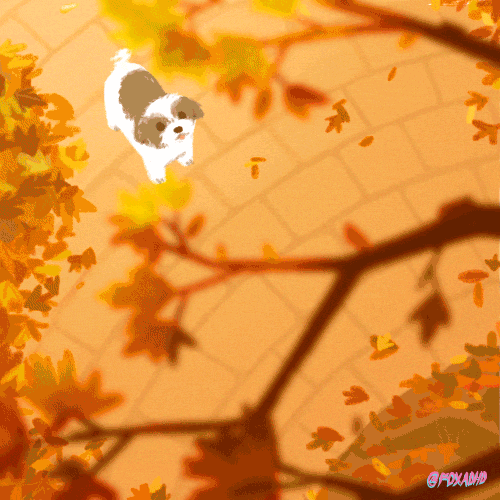 Happy Autumn! GIF - Dogs Autumn Kidnapped GIFs