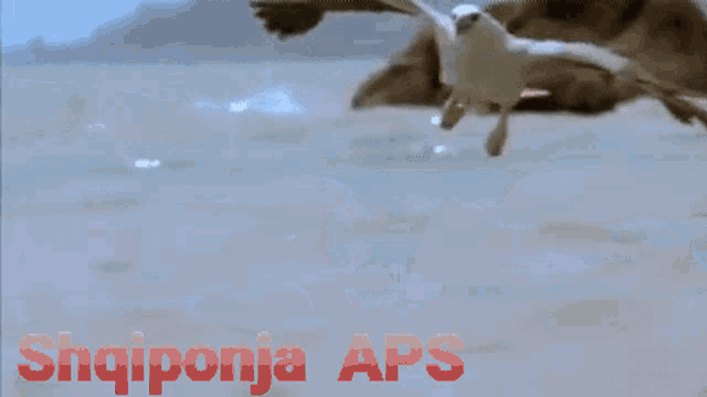 a painting of an eagle flying over a body of water with the words " shiiponia aps " written below it