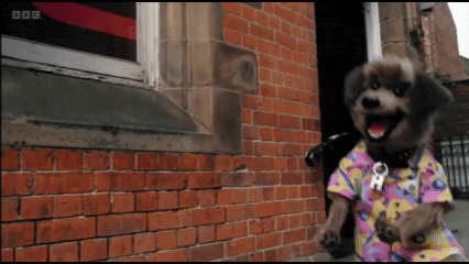 a dog standing in front of a brick building with bbc written on the bottom