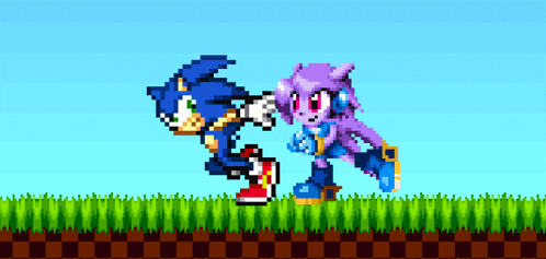 Sash Lilac Sonic GIF - Sash Lilac Sonic Sonic The Hedgehog GIFs