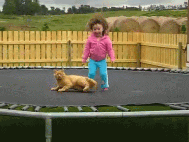 Your Reaction May Vary GIF - Kids Cats Happy GIFs