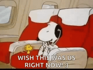 Snoopy And Woodstock Listening To Music GIF - Snoopy And Woodstock Listening To Music Us Right Now GIFs