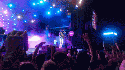 a crowd of people at a concert with a sign that says ' nc ' on it