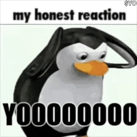 a penguin is saluting with the words `` my honest reaction yoooooo000 '' .