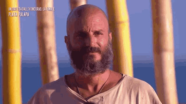 a bald man with a beard and mustache is standing in front of a row of bamboo poles ..