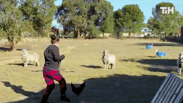 Running This Is Happening GIF - Running This Is Happening Being Chased GIFs