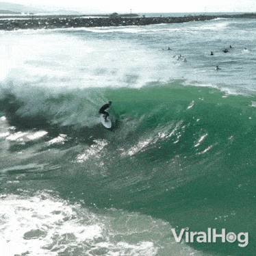 Surfing Viralhog GIF - Surfing Viralhog Catching Waves GIFs