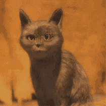 a cat with a piece of meat in its mouth .