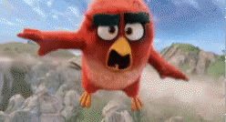 Angry Birds Flying GIF - Angry Birds Flying Angry GIFs