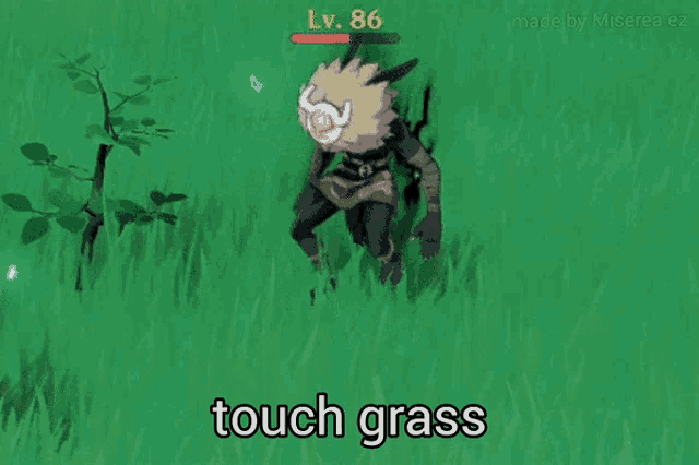 a cartoon character laying in the grass with the words touch grass written on the bottom
