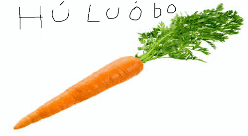 a picture of a carrot with the word holoo bo written on it