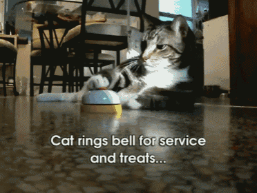 Human! Bring Another! GIF