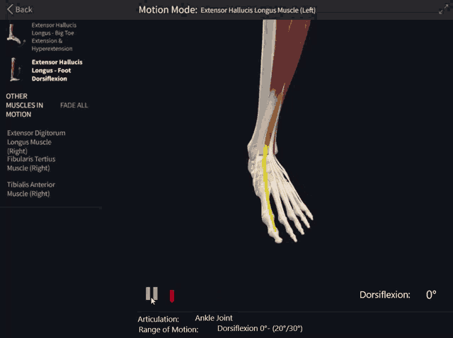 a screenshot of a computer screen showing the motion mode