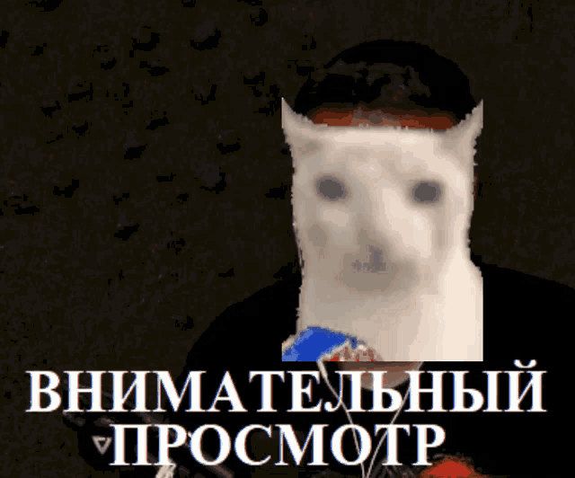 a picture of a cat with a man 's head and the words " внимательный просмотр " in white letters