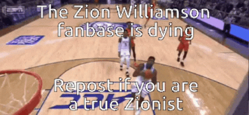 Zionism Zion Williamson GIF - Zionism Zion Williamson Yankeesplswin GIFs