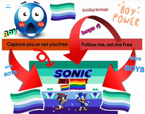 a sonic the hedgehog poster with a rainbow flag in the middle