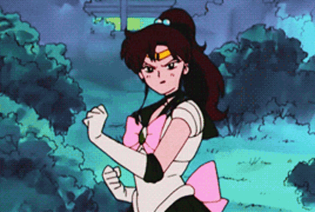 Sailor Jupier Sailor Moon GIF - Sailor Jupier Sailor Moon Anime GIFs