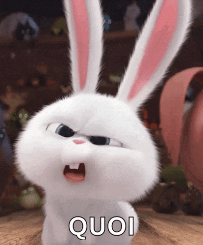 a cartoon bunny with the word quoi written on it