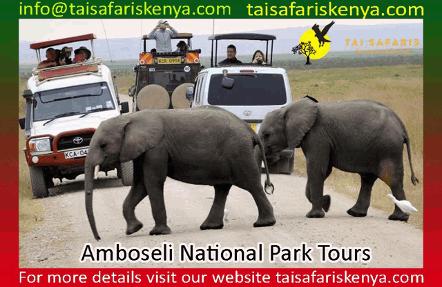 an advertisement for amboseli national park tours shows elephants and vehicles