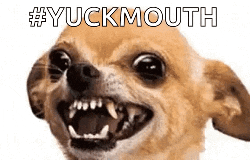 a close up of a chihuahua with its mouth open and the words # yuckmouth written above it .