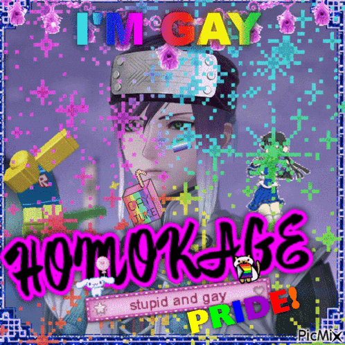 a picture of a boy with the words i 'm gay homokage on it