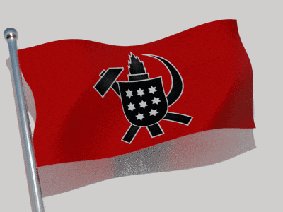 a red and white flag with a black hammer and shield on it
