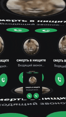 a phone screen with a picture of a lion and the words " смерть в нищите " on it