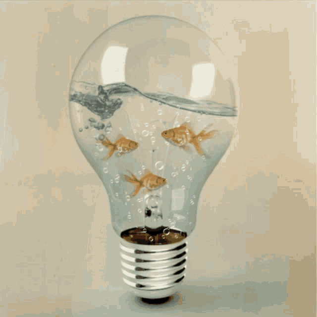 Ideas Goldfish GIF - Ideas Goldfish Cute GIFs