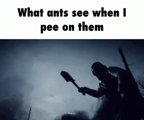 Ant Bf1 GIF