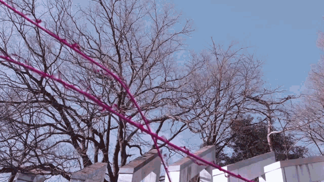 a barbed wire fence is surrounded by trees and a blue sky