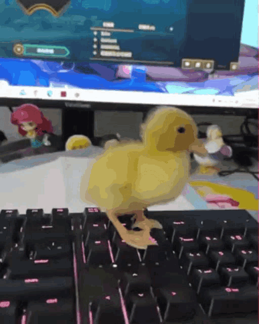 Duck Duckling GIF - Duck Duckling Duck Keyboard GIFs