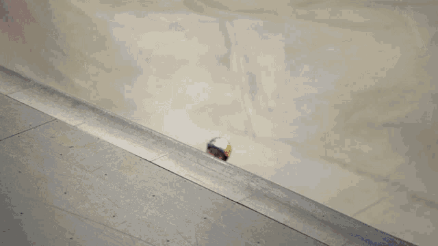 a person is riding a skateboard down a ramp and the bottom of the skateboard has the word sb on it