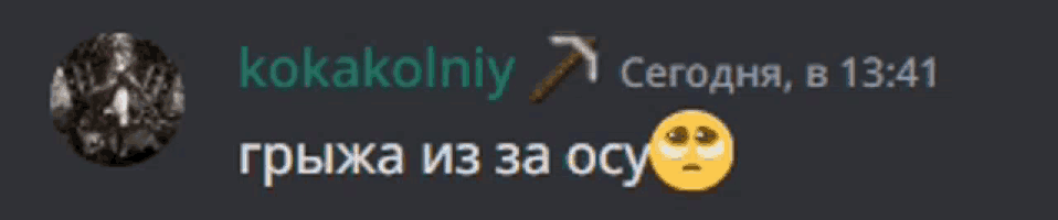 a screenshot of a discord chat with a smiley face and the name kokakoliny