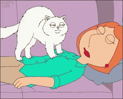Family Guy Cat GIF - Family Guy Cat Boobs GIFs