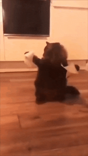 a cat is playing with a roll of toilet paper on a wooden floor .