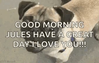 a pug dog is laying down with the words `` good morning jules have a great day i love you !! ''