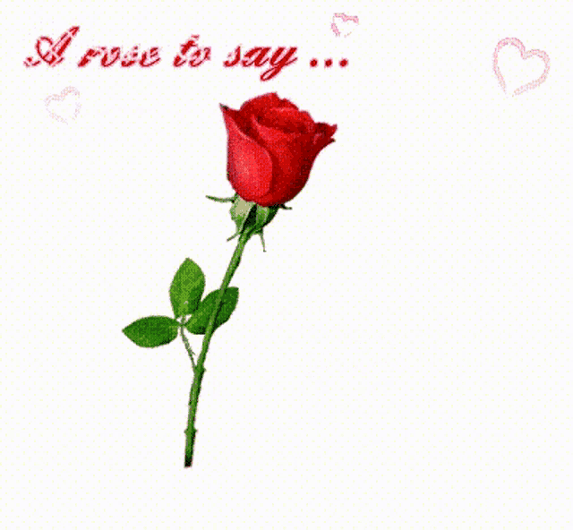 A Rose To Say I Love You आईलवयू GIF - A Rose To Say I Love You आईलवयू मैंतुमसेप्यारकरताहूँ GIFs